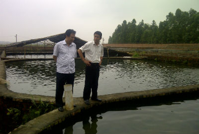 trại cá ở Tam Đảo