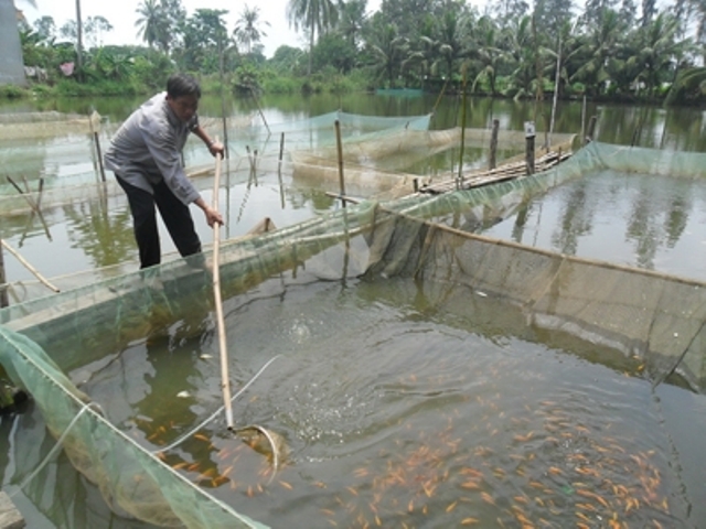 trại cá giống Đức Tài