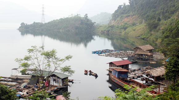 trai cá lồng