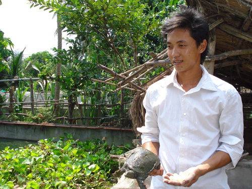 Lão nông làm giàu từ mô hình nuôi ba ba  Đài Phát thanh  Truyền hình Lào  Cai