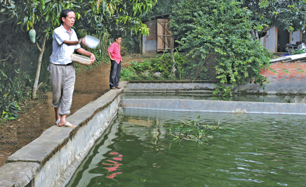 Trại thủy sản Phú Nhuận