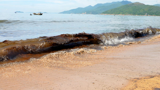 tràn dầu biển Quy Nhơn