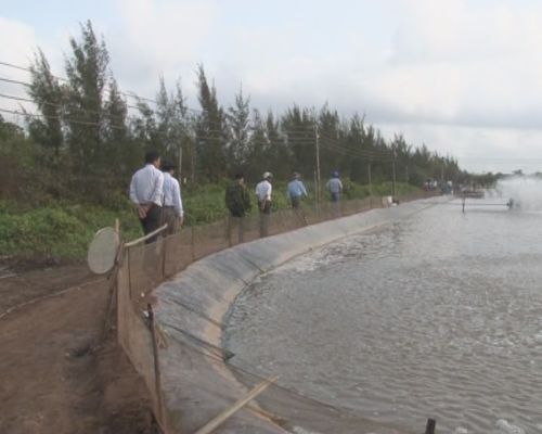 khu nuôi tôm thịt