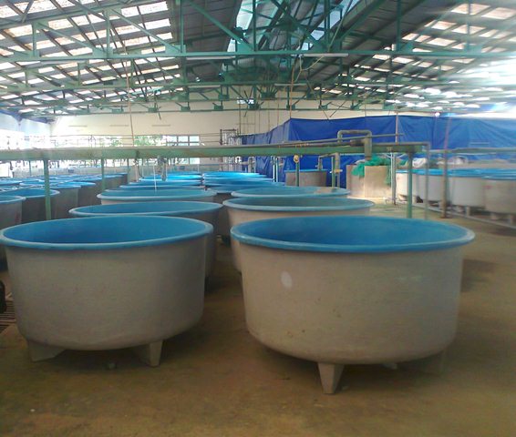 trang thiết bị thủy sản