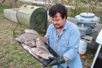 trang trại cá rô phi