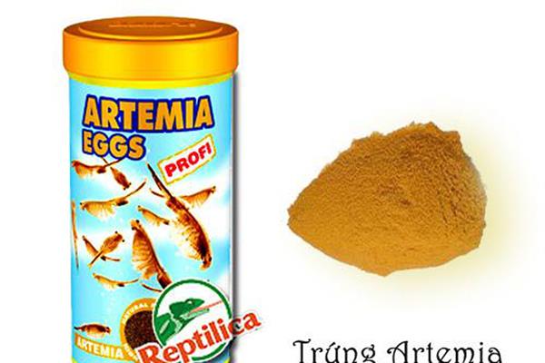 trứng artemia
