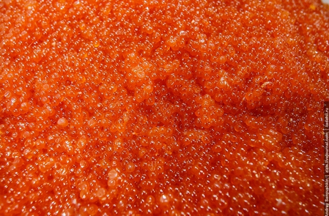 trứng cá hồi