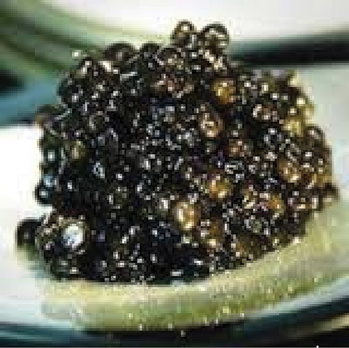 trứng cá tầm muối