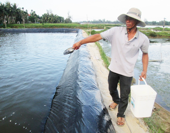 trúng đậm mùa tôm