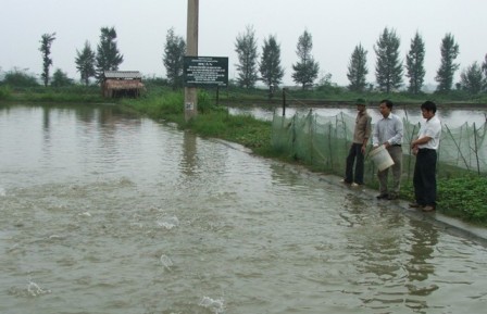 trung tâm giống hà tĩnh