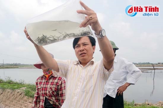 truy xuất nguồn gốc tôm giống