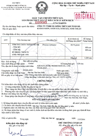 nhập tôm bố mẹ