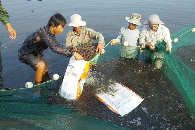 Quảng Ninh khuyến khích áp dụng KHCN vào nông nghiệp