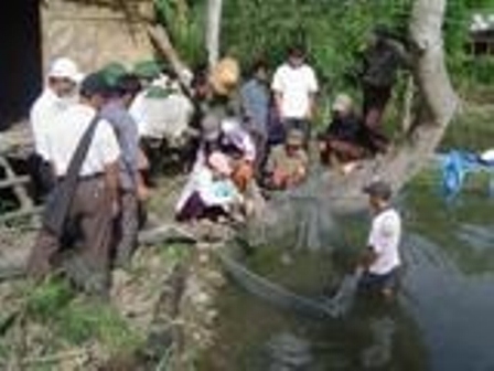 ương cá giống cấp 2