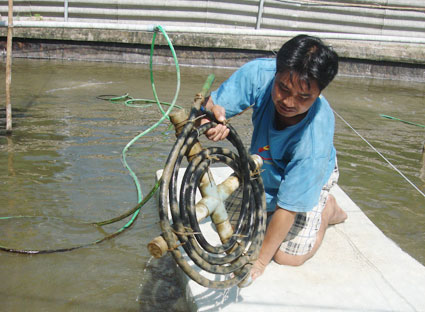 uong duong tom giong
