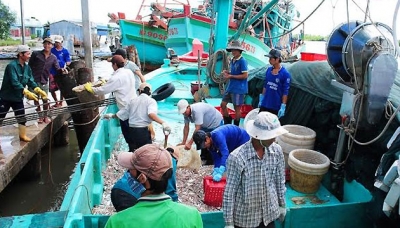 vận chuyển hàng thủy sản