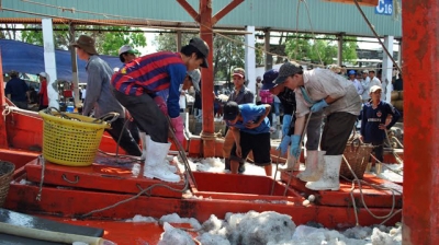 vận chuyển nước đá