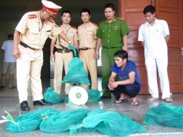 vận chuyển rắn hổ mang