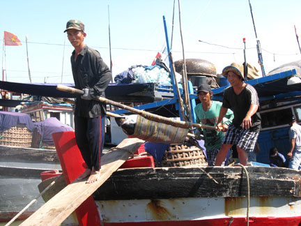 Vận chuyển cá biển