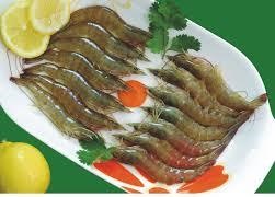tôm thẻ chân trắng