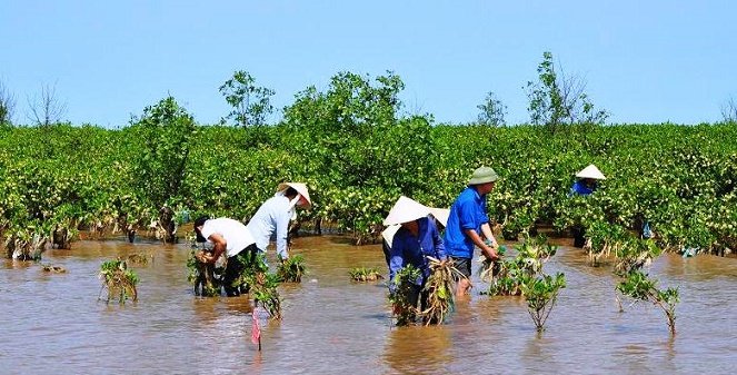 vành đai chắn sóng