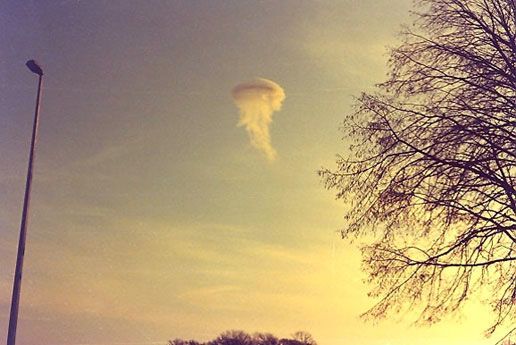 vật thể hình sứa