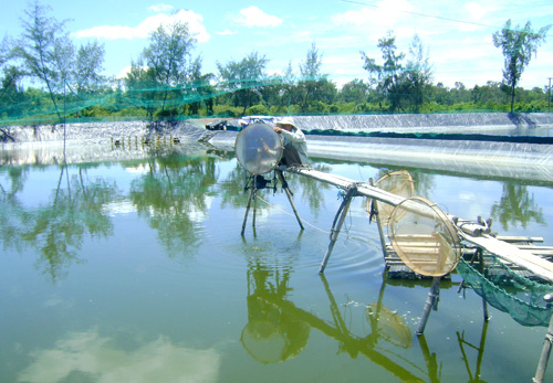 viet gap tom nuoc lo