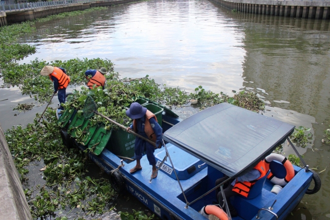 vớt cá trên kênh Nhiêu Lộc
