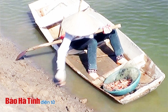 vớt tôm chết