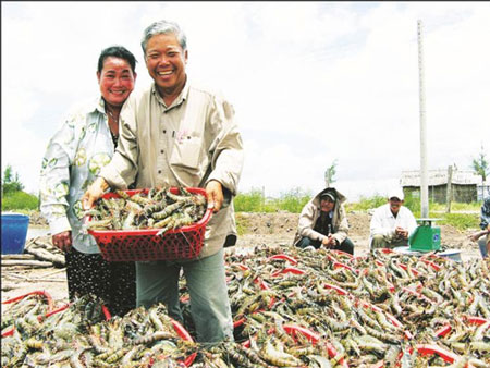 "Vua tôm bất bại" kiện công ty sản xuất tôm giống