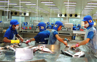 vuc day nganh ca tra