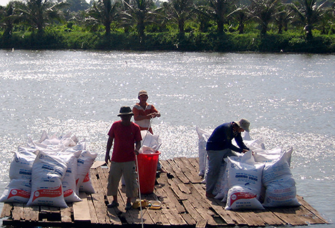 vùng nuôi cá tra nguyên liệu