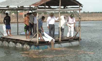 vùng nuôi thủy sản