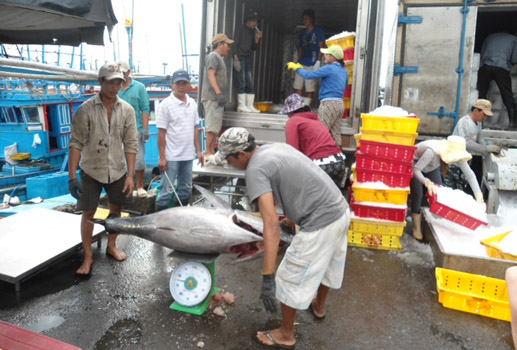 vươn khơi ra biển