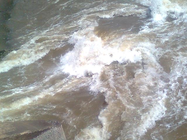 xả nước thải trái phép