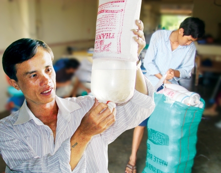 Gần 50 trại sản xuất tôm giống ở Cà Mau đã ngừng hoạt động