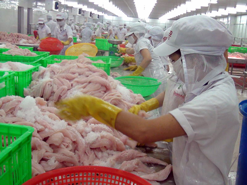 xuất khẩu cá tra