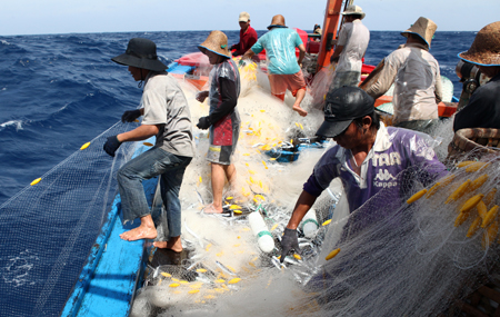 Nguồn lao động đi xuất khẩu lao động làm thuyền viên hầu hết xuất xứ từ ngư dân các tỉnh ven biển.