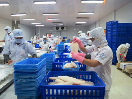 xuất khẩu cá tra