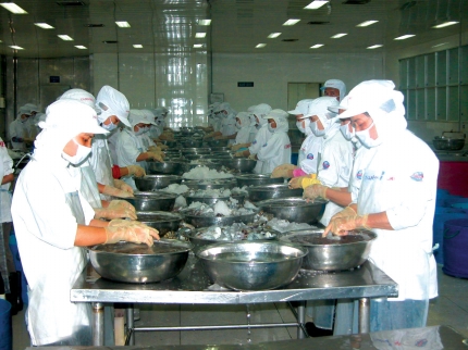 xuat khau ca mau
