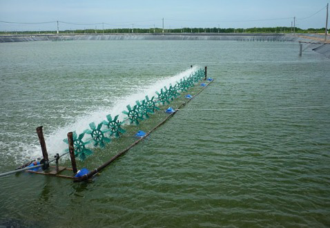 Một số mô hình xử lý nước thải nuôi tôm