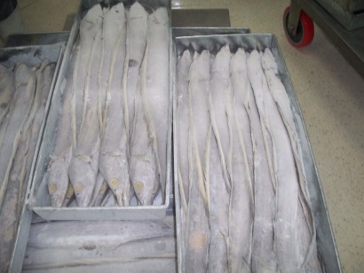 xuất khẩu cá biển