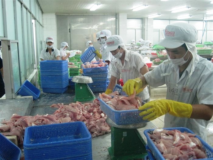 xuất khẩu cá tra giảm