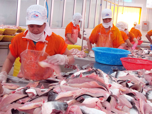 xuất khẩu cá tra phile