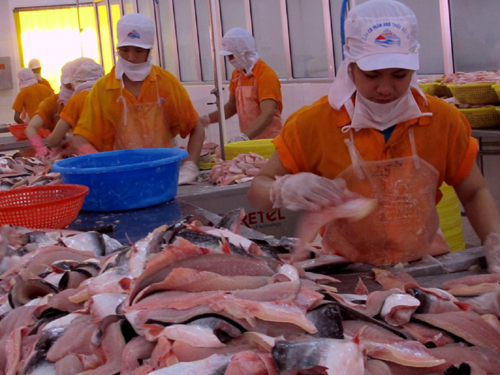 xuat khau ca tra sang ha lan