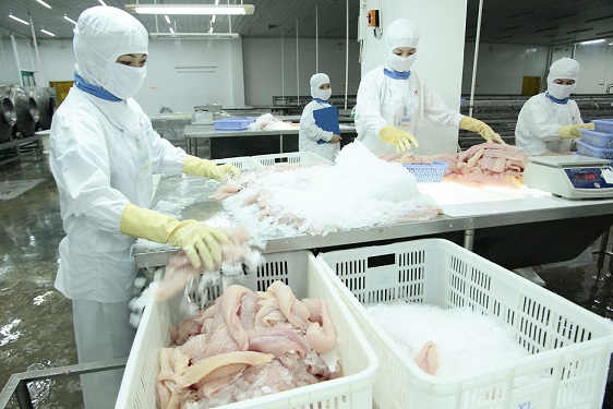 Áp dụng đạo luật Farm Bill: “Trơn trượt” đường xuất khẩu cá da trơn sang Mỹ