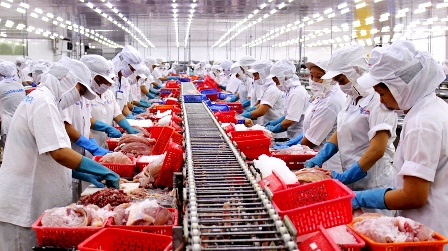 Xuất khẩu cá da trơn sang Mỹ chưa thấy ách tắc