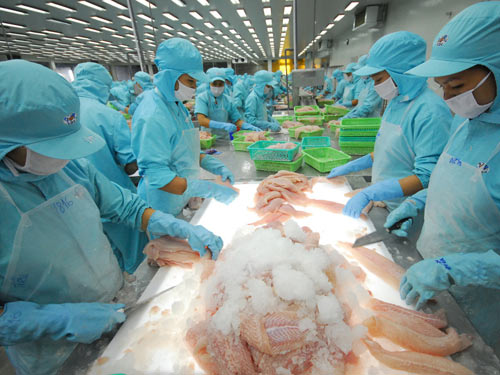 xuất khẩu cá tra
