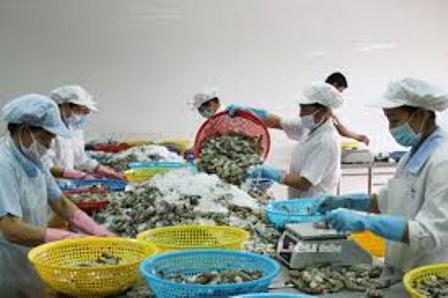 xuất khẩu mặt hàng tôm