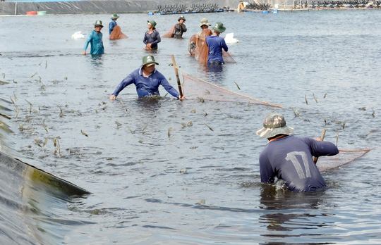 xuất khẩu thủy sản